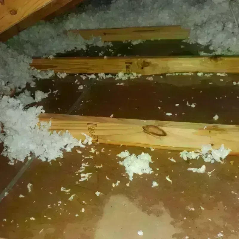 Attic Water Damage in Joseph, OR