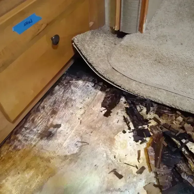 Wood Floor Water Damage in Joseph, OR